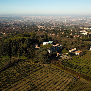 L'Azienda Agricola Tierre di Villa Cavalletti e il suo olio