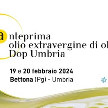 Anteprima Olio Extravergine di Oliva DOP Umbria 2024