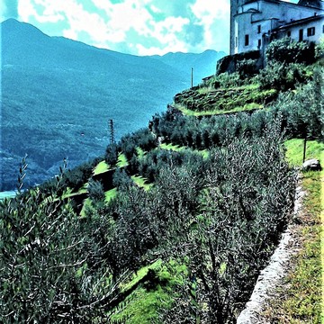   -  Valtellina (SO)  